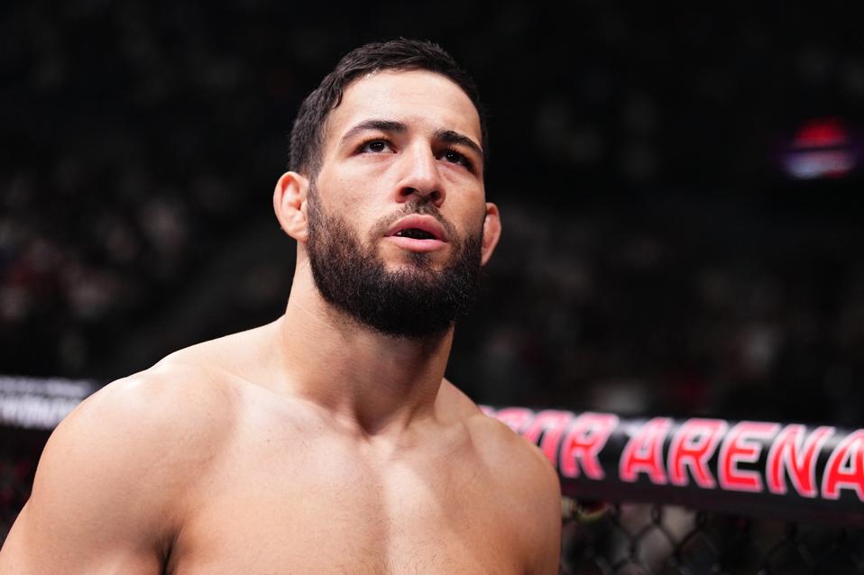 UFC Fight Night: Imavov v Allen